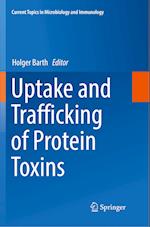 Uptake and Trafficking of Protein Toxins