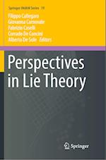 Perspectives in Lie Theory