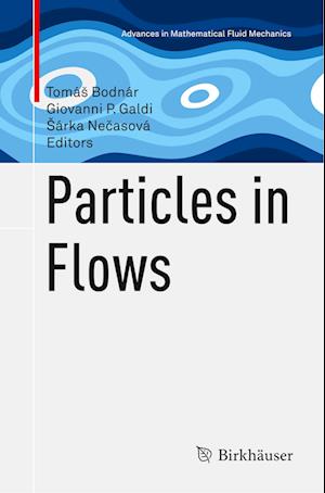 Particles in Flows