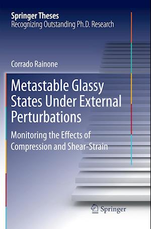 Metastable Glassy States Under External Perturbations