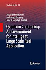 Quantum Computing:An Environment for Intelligent Large Scale Real Application