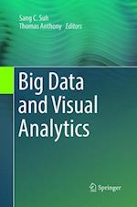 Big Data and Visual Analytics