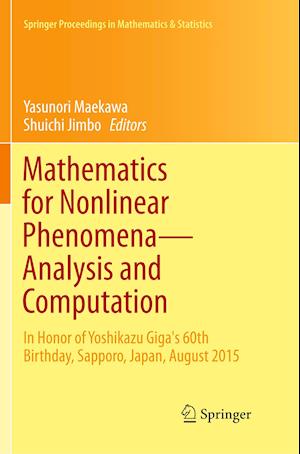 Mathematics for Nonlinear Phenomena — Analysis and Computation