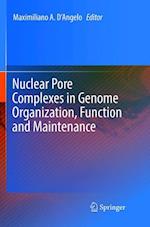 Nuclear Pore Complexes in Genome Organization, Function and Maintenance