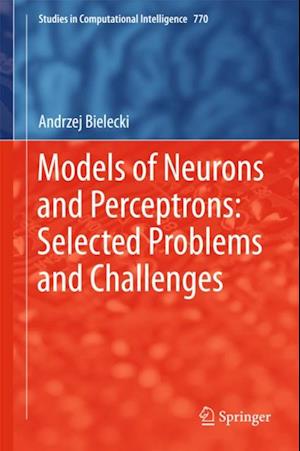 Models of Neurons and Perceptrons: Selected Problems and Challenges