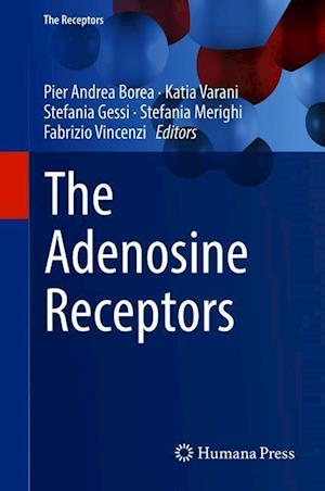 The Adenosine Receptors