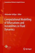 Computational Modelling of Bifurcations and Instabilities in Fluid Dynamics