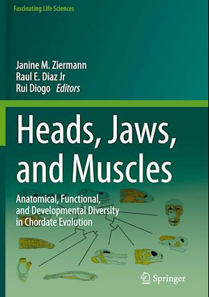 Heads, Jaws, and Muscles