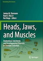 Heads, Jaws, and Muscles