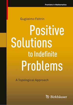 Positive Solutions to Indefinite Problems