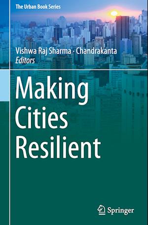 Making Cities Resilient