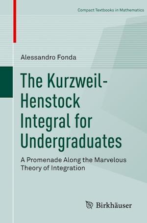 The Kurzweil-Henstock Integral for Undergraduates
