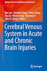 Cerebral Venous System in Acute and Chronic Brain Injuries