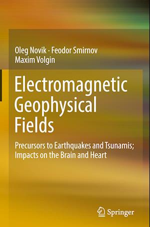 Electromagnetic Geophysical Fields