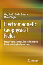 Electromagnetic Geophysical Fields
