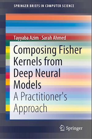 Composing Fisher Kernels from Deep Neural Models