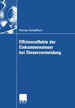 Effizienzeffekte der Einkommensteuer bei Steuervermeidung