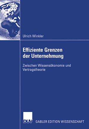 Effiziente Grenzen der Unternehmung