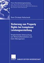 Sicherung von Property Rights bei komplexer Leistungserstellung