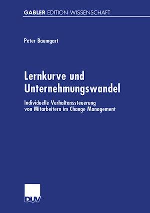 Lernkurve und Unternehmungswandel