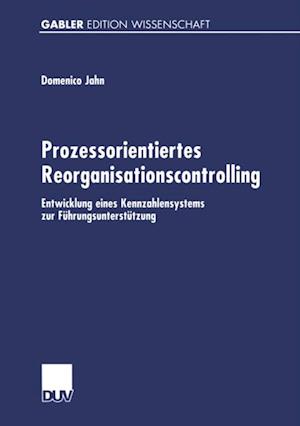 Prozessorientiertes Reorganisationscontrolling