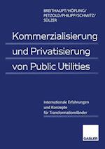 Kommerzialisierung und Privatisierung von Public Utilities