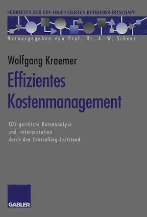 Effizientes Kostenmanagement