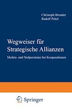 Wegweiser für Strategische Allianzen