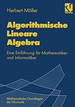 Algorithmische Lineare Algebra