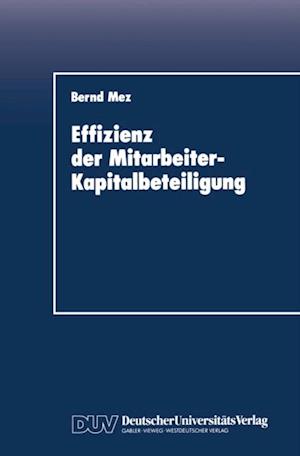 Effizienz der Mitarbeiter-Kapitalbeteiligung