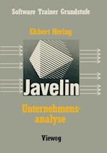 Unternehmensanalyse mit Javelin