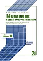 Numerik sehen und verstehen