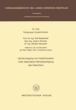 Lärmerzeugung von Hubschraubern unter besonderer Berücksichtigung des Heckrotors