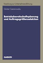 Betriebsbereitschaftsplanung und Auftragsgrößenselektion