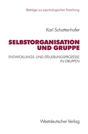 Selbstorganisation und Gruppe