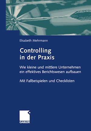 Controlling in der Praxis