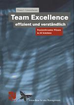 Team Excellence Effizient und Verständlich