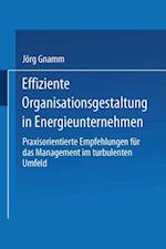 Effiziente Organisationsgestaltung in Energieunternehmen