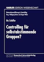 Controlling für selbstabstimmende Gruppen?