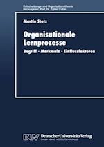 Organisationale Lernprozesse