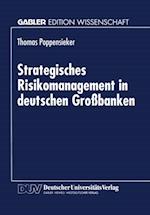 Strategisches Risikomanagement in deutschen Großbanken