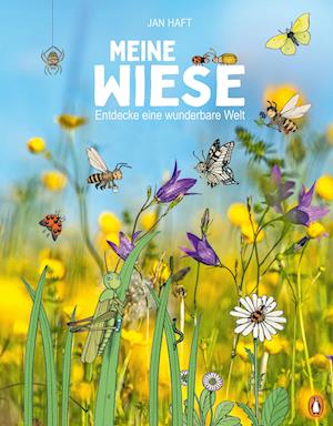 Meine Wiese.  - Entdecke eine wunderbare Welt