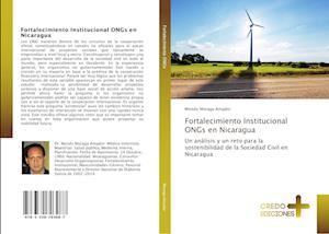 Fortalecimiento Institucional ONGs en Nicaragua