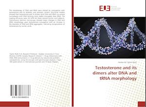 Testosterone and its dimers alter DNA and tRNA morphology