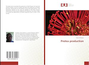 Protea production