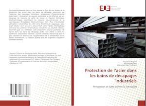 Protection de l'acier dans les bains de décapages industriels