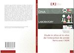 Etude in silico et in vitro de l'interaction de amide ferro avec l'ADN
