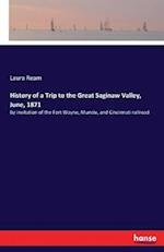 History of a Trip to the Great Saginaw Valley, June, 1871