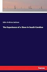 The Experience of a Slave in South Carolina