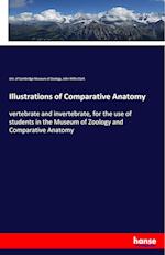 Illustrations of Comparative Anatomy